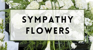 Flower Delivery to Crystal River by Waverley Florist & Flower Delivery